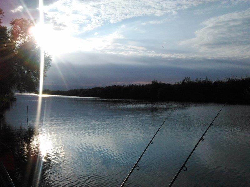 Rosu - Septembrie  2015 - img20150928081301.jpg